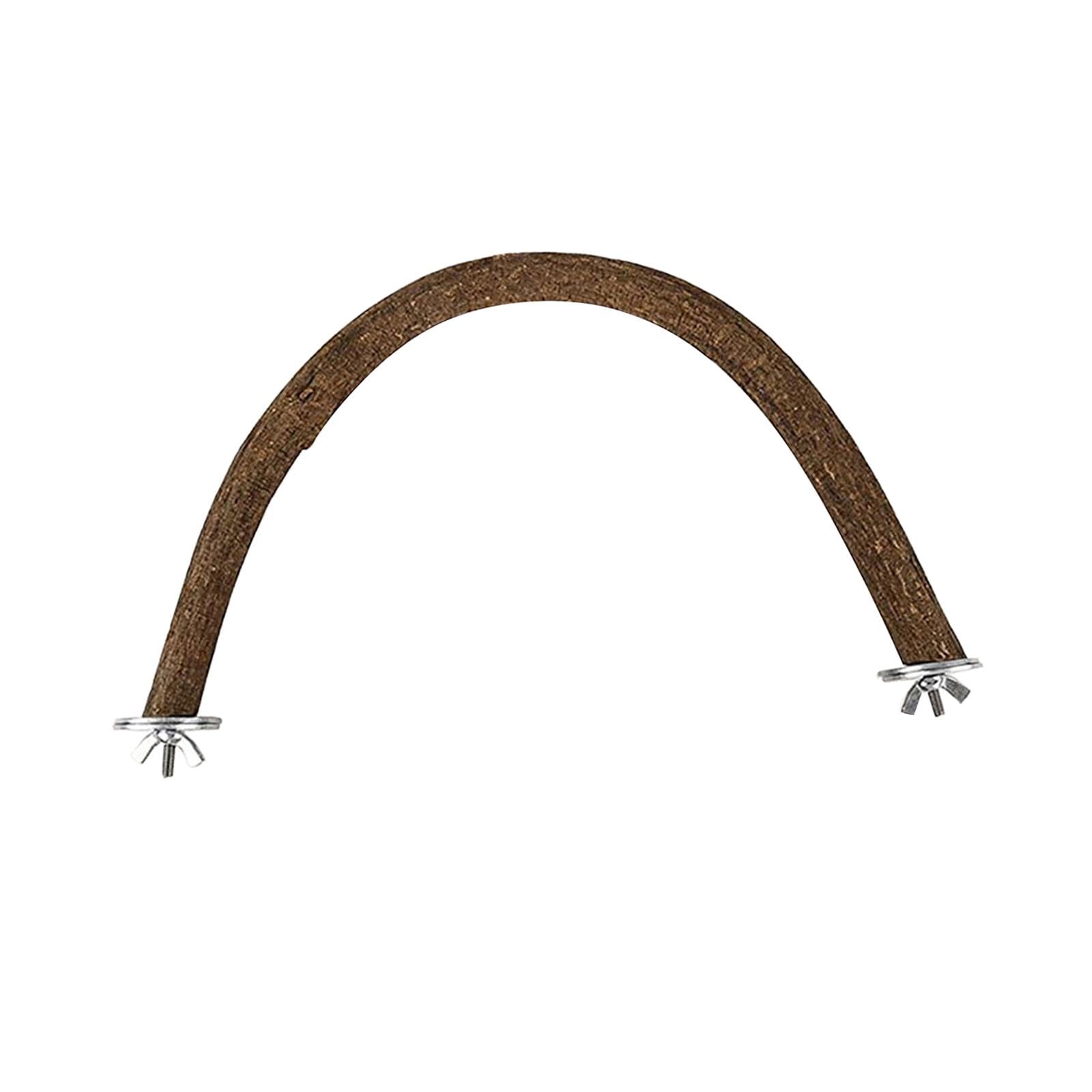 Amazon | Toysmith オウム用鳥スタンド、教育用スタンドおもちゃ